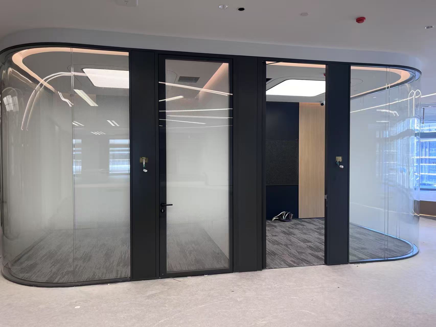 Premium Double-Glazed Frameless Door